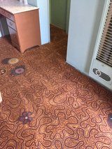  All Year Carpet Cleaning 8112 Brookgreen Rd 