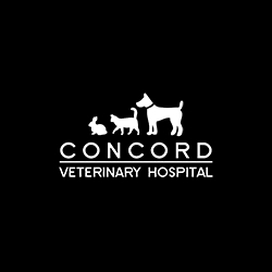  Profile Photos of Concord Veterinary Hospital 191 Concord Road - Photo 1 of 1