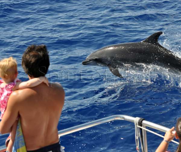  trips of Coconut Trips Canaries Avenida de Tenerife 4, Apartamentos Green Park - Photo 1 of 14