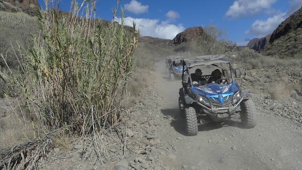  trips of Coconut Trips Canaries Avenida de Tenerife 4, Apartamentos Green Park - Photo 10 of 14