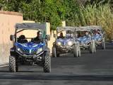 Coconut Trips Canaries, Maspalomas