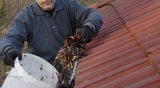  Grants Gutter Cleaning Kalamazoo 5200 Croyden Ave #9,101 C 