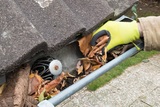 Grants Gutter Cleaning Kalamazoo, Kalamazoo