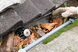 Grants Gutter Cleaning Kalamazoo, Kalamazoo
