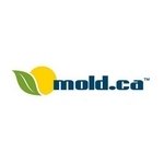  Profile Photos of Mold Removal Toronto 130 King Street West, Suite 1800 - Photo 1 of 1