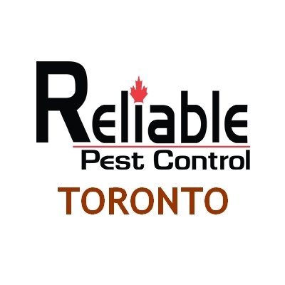 Profile Photos of Pest Control Toronto Toronto, ON - Photo 1 of 1