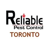 Pest Control Toronto, Toronto