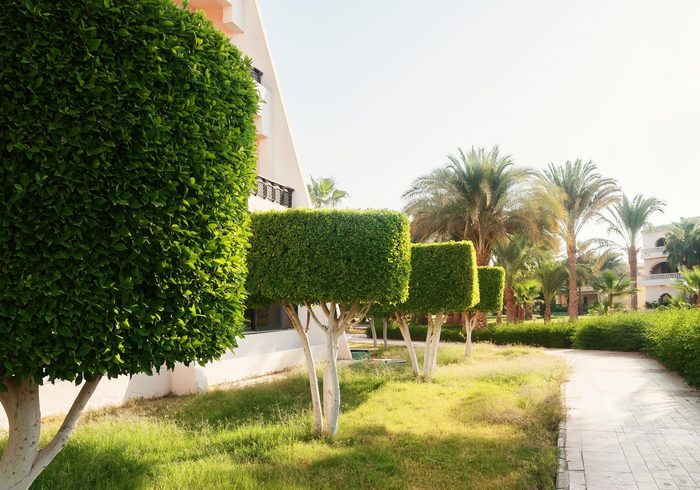  Profile Photos of Top Tree Service Miami 1600 S Miami Ave - Photo 7 of 8