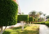Top Tree Service Miami, Miami