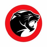 Fantastic Pest Control Coventry, Coventry