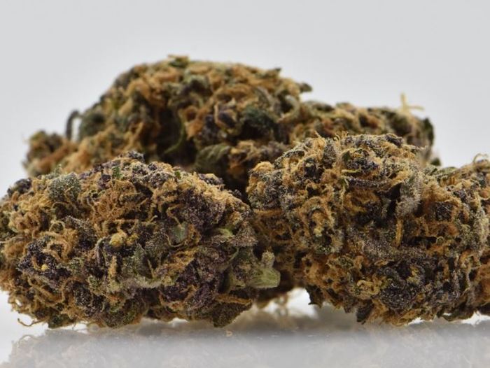  Enjoymint Delivered | Weed Delivery San Jose of Enjoymint Delivered 90 Great Oaks blvd suite 202 - Photo 12 of 12