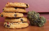  Enjoymint Delivered 90 Great Oaks blvd suite 202 