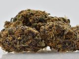 Enjoymint Delivered, San Jose