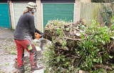  Tree Service Experts Iowa City 141 Clapp St 