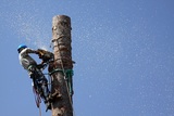  Tree Service Experts Iowa City 141 Clapp St 