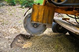  Tree Service Experts Iowa City 141 Clapp St 