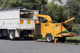  Tree Service Experts Iowa City 141 Clapp St 