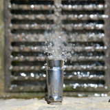  Plumber Fremont 4649 Rothbury Common unit 1 