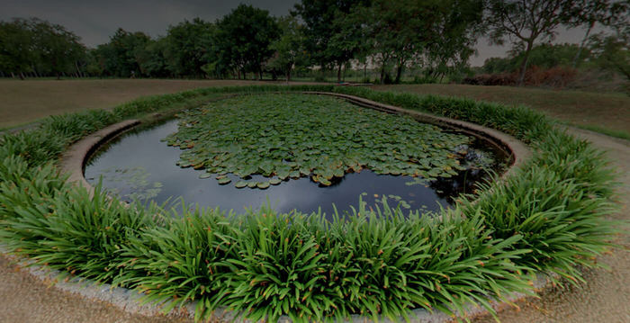  Profile Photos of Shankus Natural Health Center Amipura, Ahmedabad-Mehsana Highway - Photo 24 of 34