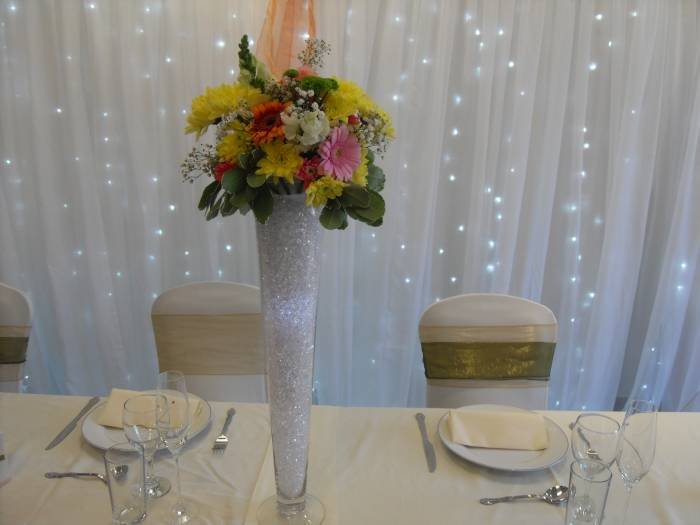 VLUU P1200  / Samsung P1200 Profile Photos of Deizi Events Management & Party Planners 9 Dale Close - Photo 9 of 19
