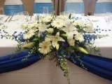  Deizi Events Management & Party Planners 9 Dale Close 