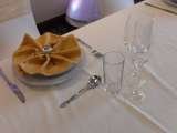 VLUU P1200  / Samsung P1200, Deizi Events Management & Party Planners, SOUTH OCKENDON