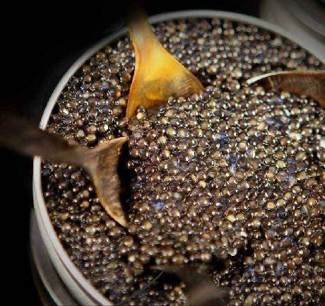  Profile Photos of Fine French Caviar Access House, Leestone Road, Sharston Ind Est - Photo 3 of 8
