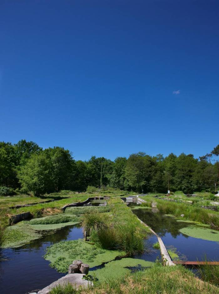  Profile Photos of Fine French Caviar Access House, Leestone Road, Sharston Ind Est - Photo 4 of 8