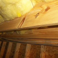  Profile Photos of PuroClean Emergency Restoration Services 1421 E. BROAD STREET, BOX 330 - Photo 3 of 4