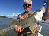 Go Fishing Guides, Chokoloskee