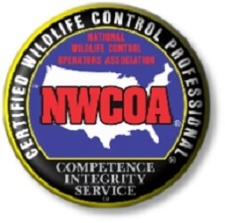  Profile Photos of Michigan Wildlife Solutions, LLC 2416 Grange Hall Rd., Suite A - Photo 3 of 4