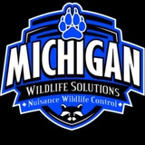 Michigan Wildlife Solutions, LLC, Fenton