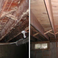  New Album of PuroClean Emergency Restoration Services 1934 N 81st Street - Photo 2 of 4