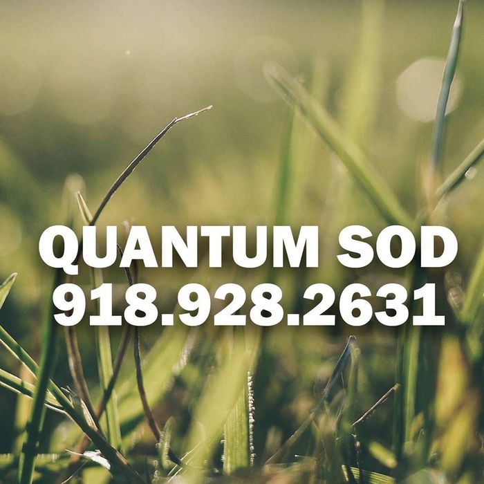 Profile Photos of Quantum Sod N/A - Photo 1 of 6