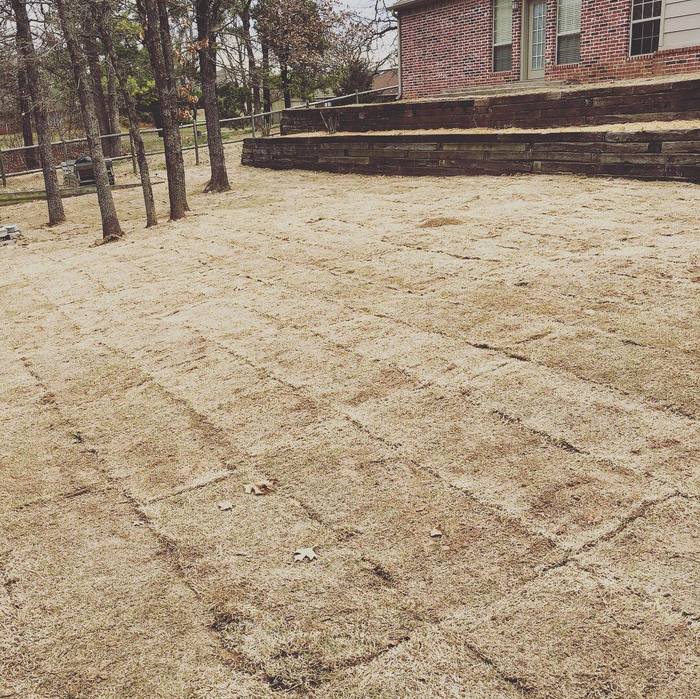  Profile Photos of Quantum Sod N/A - Photo 5 of 6