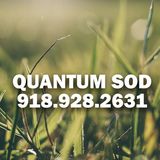  Quantum Sod N/A 