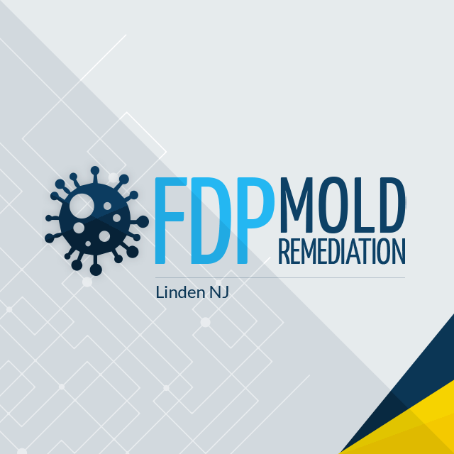 Profile Photos of FDP Mold Remediation 15 Martin St - Photo 1 of 1