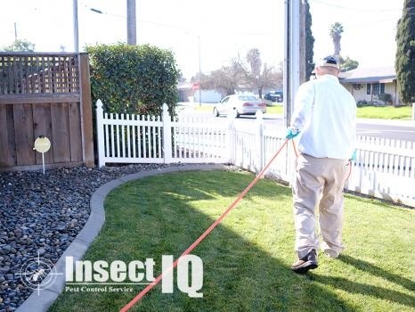  Profile Photos of Insect IQ, Inc. 406 Motor City Court, Suite C - Photo 3 of 4