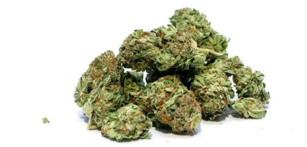  Profile Photos of BUY WEED ONLINE UK - - Photo 1 of 2