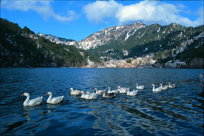  Adventure in Himalayas of Shikhar India Adventure Tours 0-47 Lower Ground Floor, Lajpat Nagar-2 - Photo 13 of 22