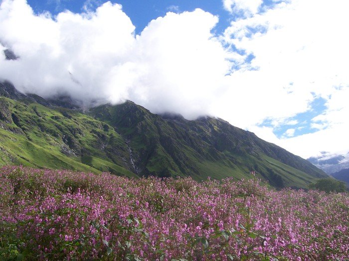  Adventure in Himalayas of Shikhar India Adventure Tours 0-47 Lower Ground Floor, Lajpat Nagar-2 - Photo 5 of 22