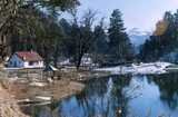  Shikhar India Adventure Tours 0-47 Lower Ground Floor, Lajpat Nagar-2 