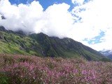 Shikhar India Adventure Tours, New Delhi