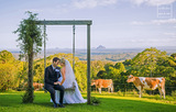 Willidea, Brisbane