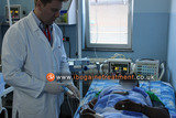 Iboga treatment cost<br />
 Ibogaine Treatment Center Sremskih boraca 2e 