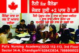 Pal Nursing Academy, Chandigarh