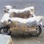 Dosti Packers and movers, Pune