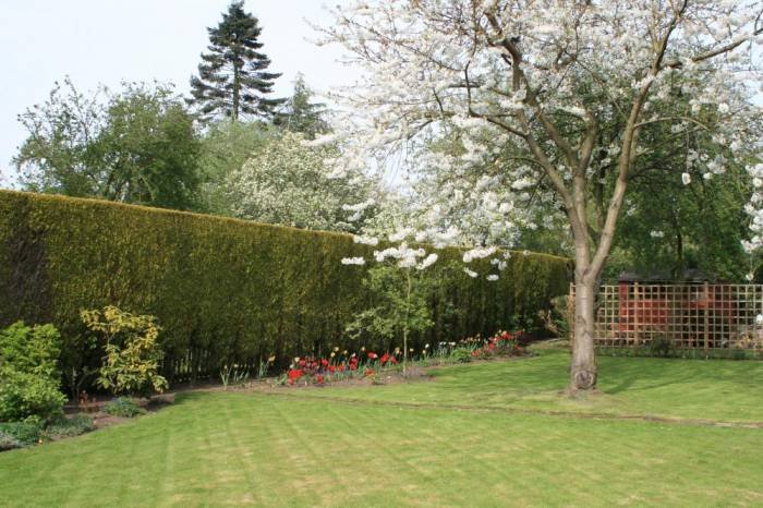  Profile Photos of The Heathers Guest House in York 54 Shipton Road - Photo 8 of 13