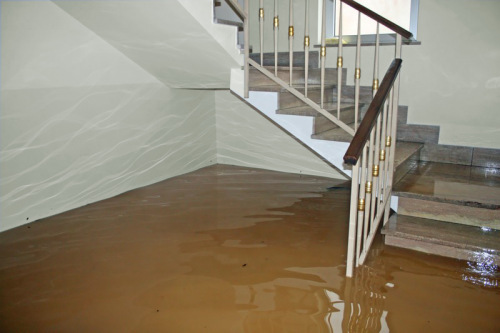  Profile Photos of AAA Public Adjusters 2700 Grant Ave - Photo 3 of 3