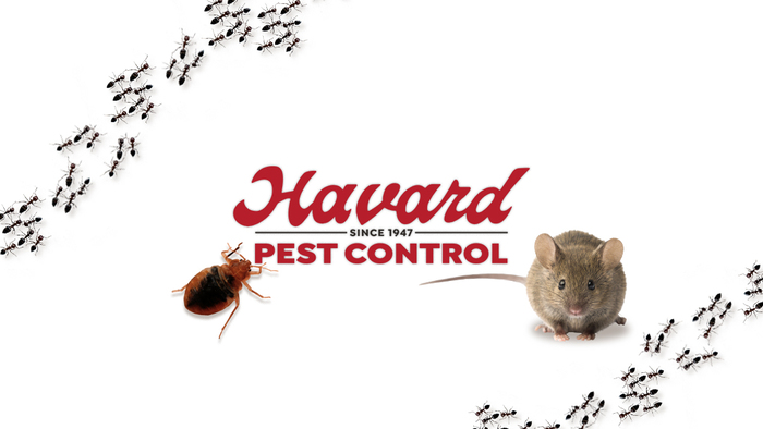  Profile Photos of Havard Pest Control 237 Oxmoor Circle, Suite 105 - Photo 2 of 4